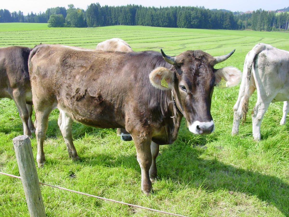 Vila Andreashof Heimenkirch Exteriér fotografie